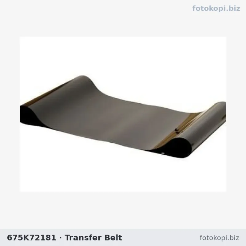 675K72181 Transfer Belt | Xerox Color 550 / 560 / 570 / C60 / C70 / C75 / 240 / 242 / 250 / 252
