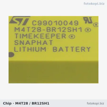 M4T28-BR12SH1 Bellek Mod?l? (Timekeeper RAM) | Xerox