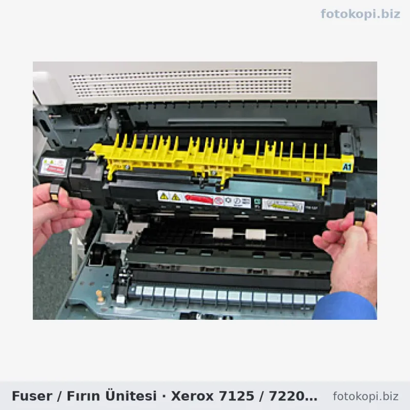 Fuser / Fırın Ünitesi | Xerox 7125 / 7220 / 7225 (İkinci El)