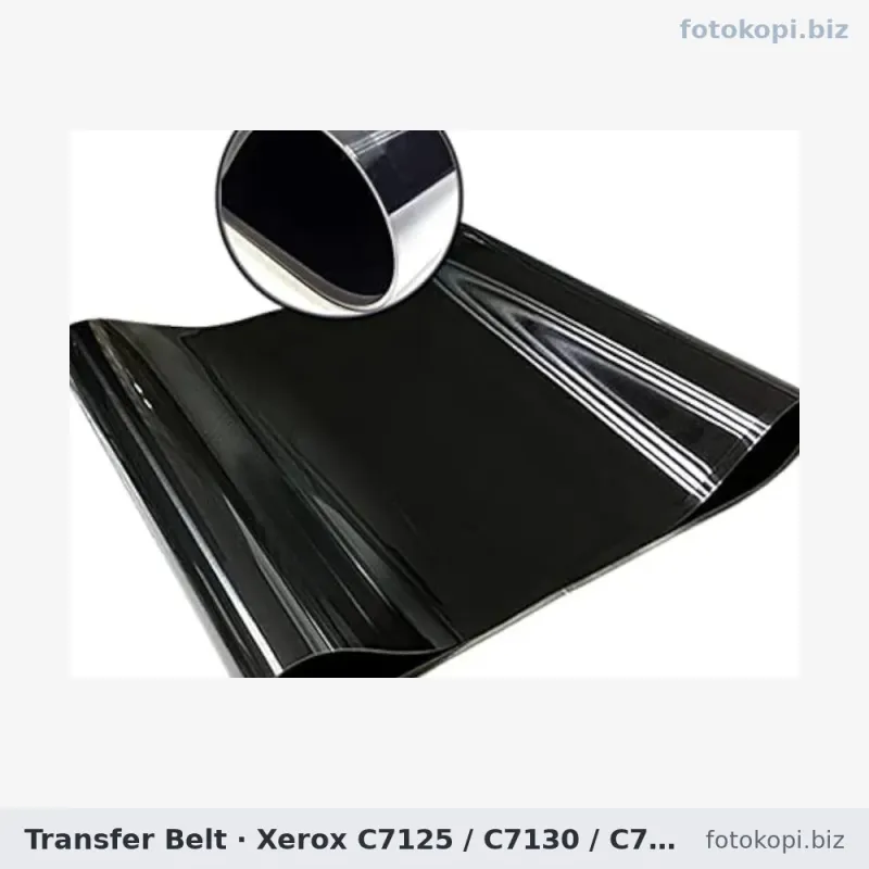 Transfer Belt | Xerox C7125 / C7130 / C7000 / C7020 / C7025 / C7030
