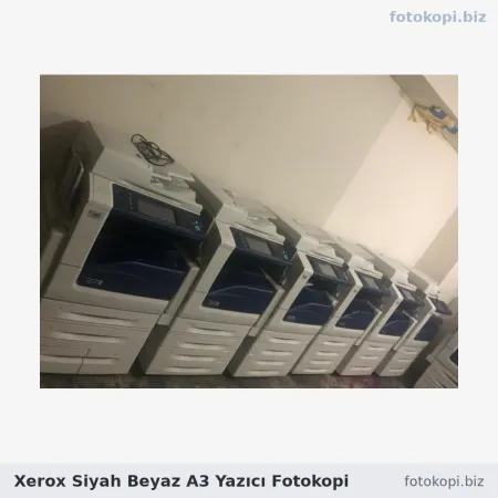 Xerox Siyah Beyaz A3 Yazıcı Fotokopi | Kiralama