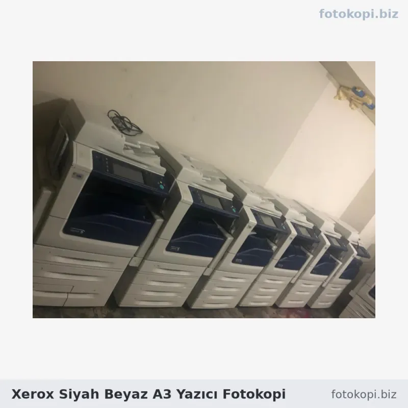 Xerox Siyah Beyaz A3 Yazıcı Fotokopi | Kiralama